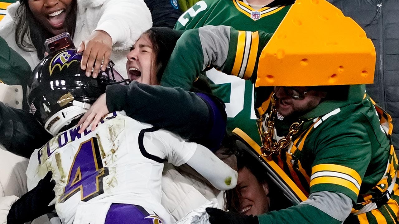 Packers fan pushes Ravens wide receiver Zay Flowers during TD celebration